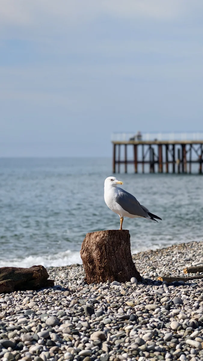 IMG_20261009_203104.webp