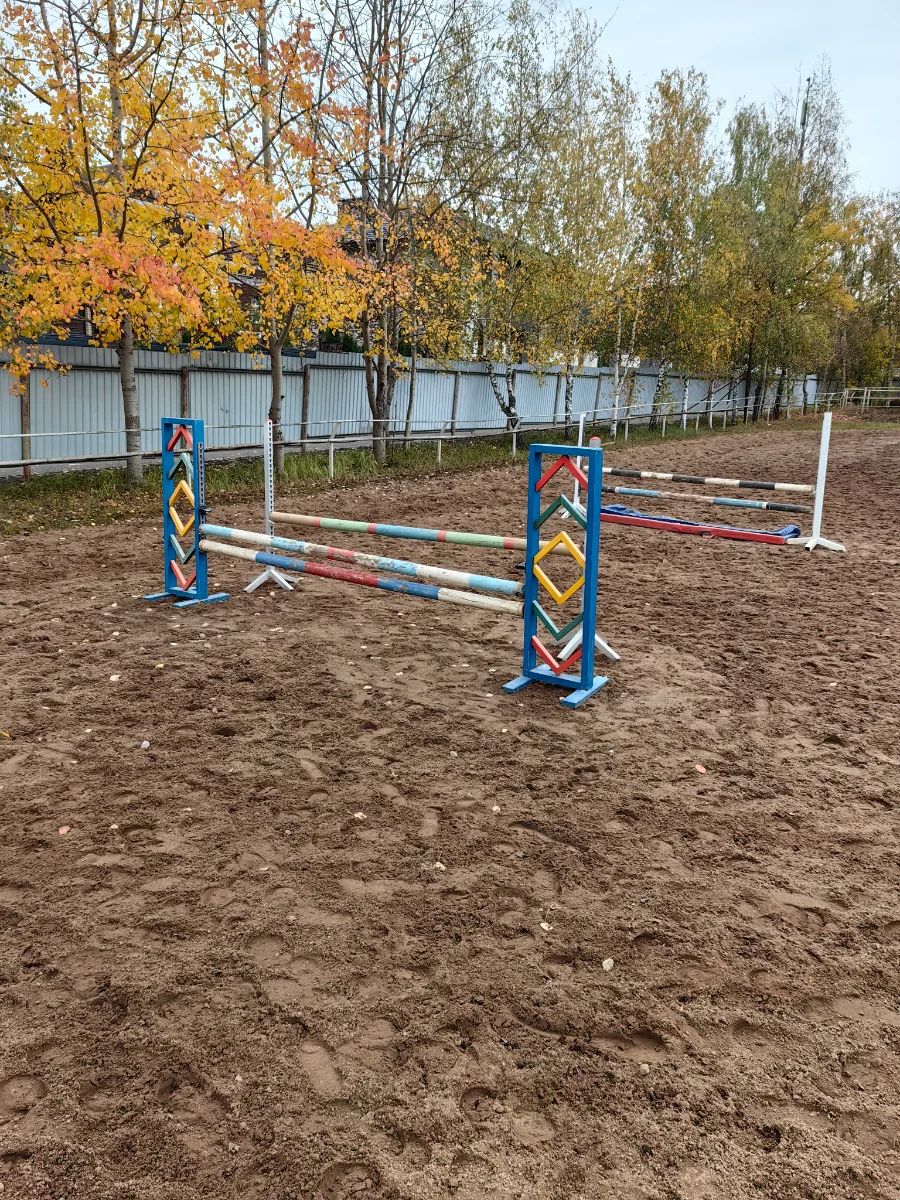 IMG_20261011_112031.webp
