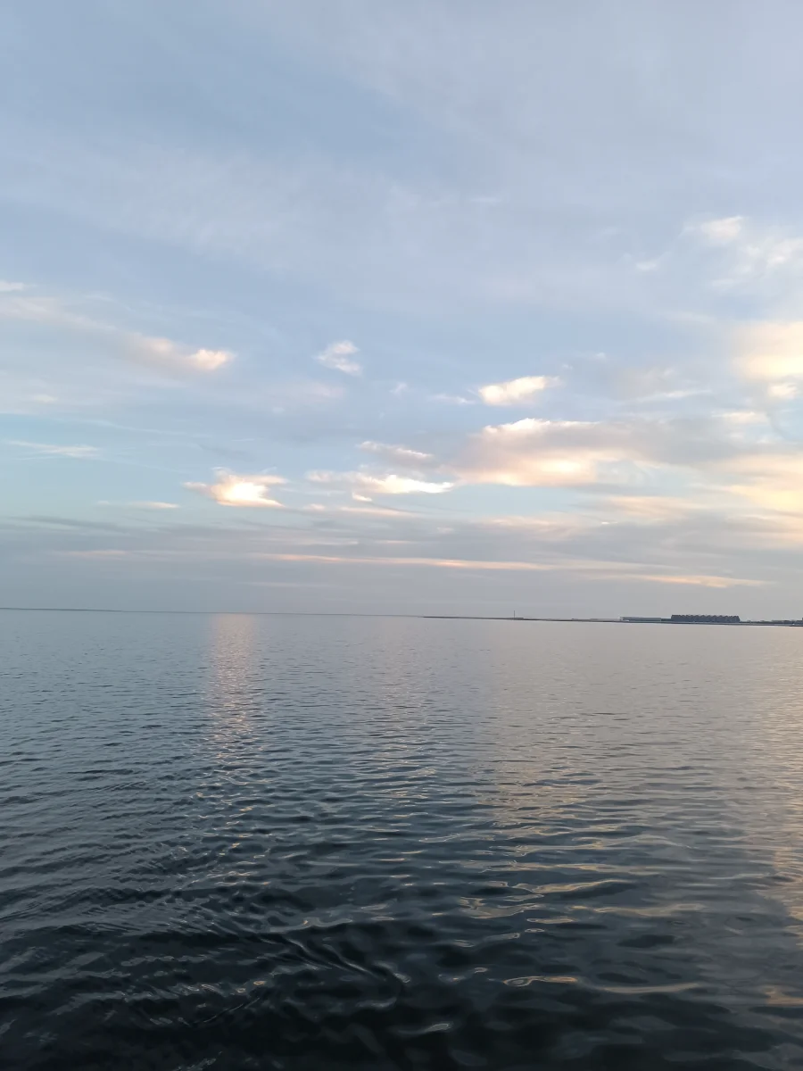 IMG_20261011_175828.webp