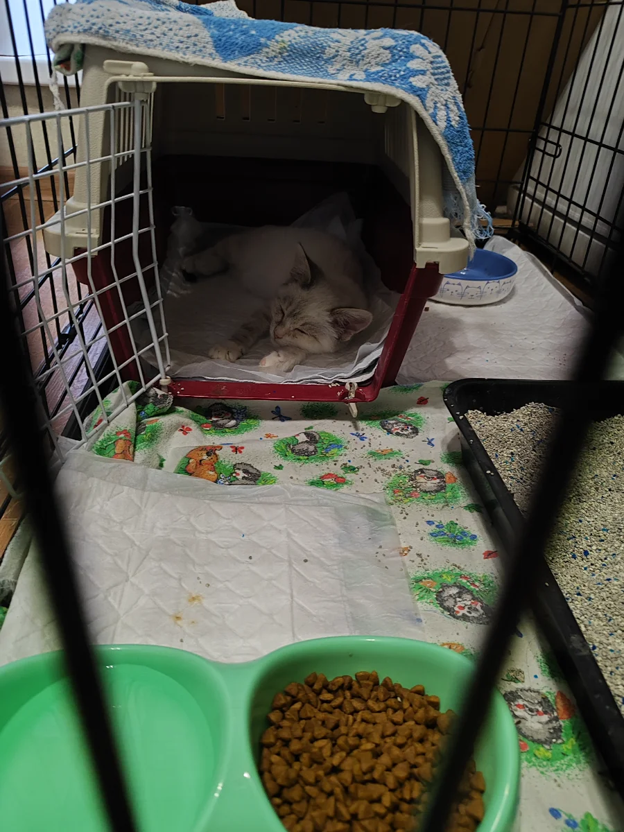 IMG_20261012_120806.webp