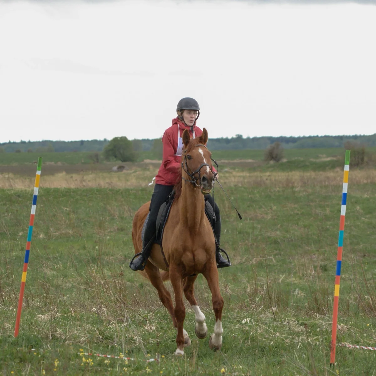 IMG_20261014_164149_edit_119631725955182.webp