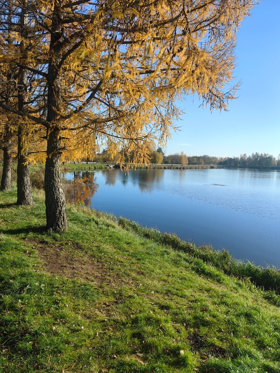 IMG_20261015_115320.webp