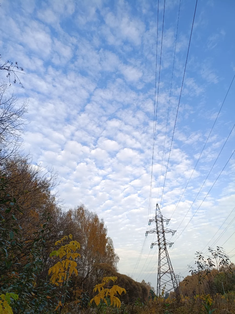 IMG_20261017_160550.webp