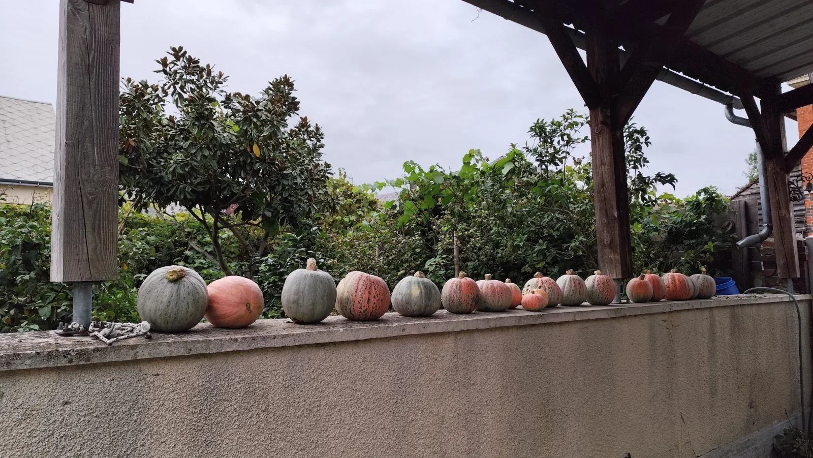IMG_20261019_183248.webp