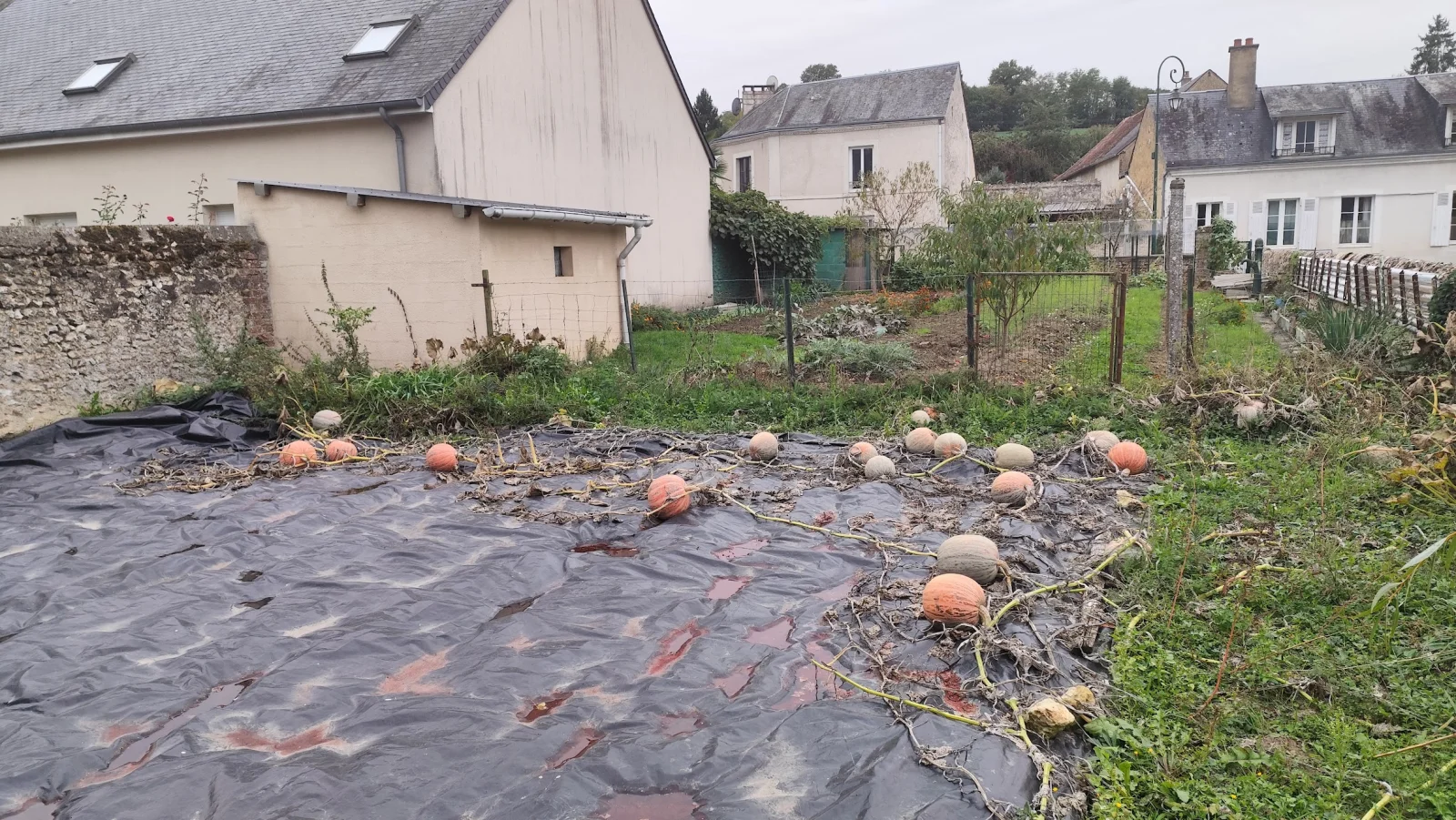 IMG_20261019_183411.webp