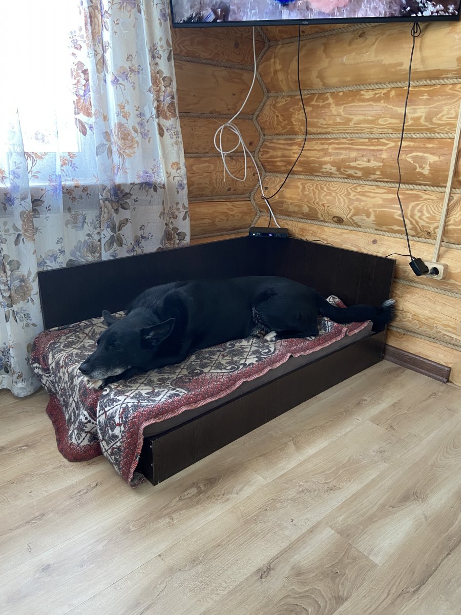 IMG_2030.jpeg