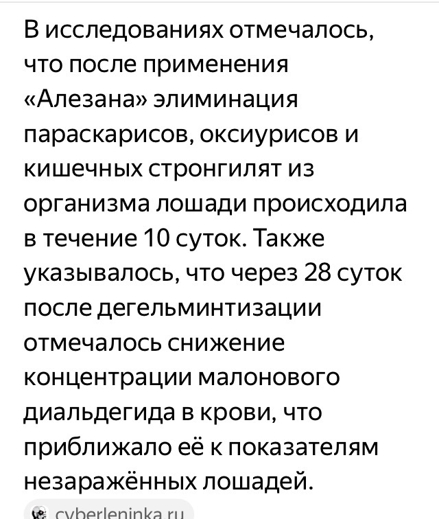 IMG_2090.jpeg