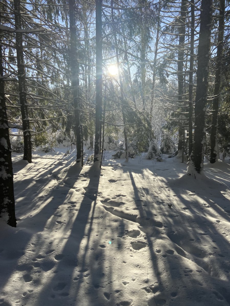 IMG_2112.jpeg