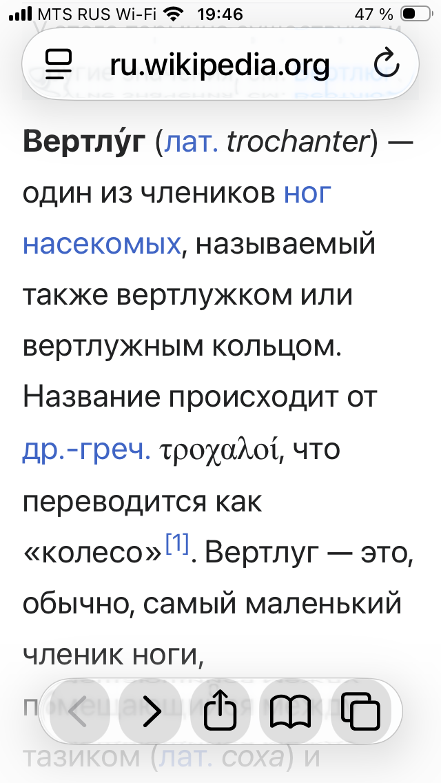 IMG_2124.png