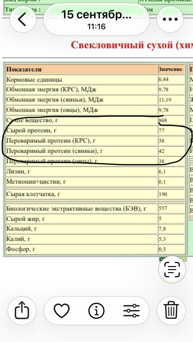 IMG_2277.jpeg