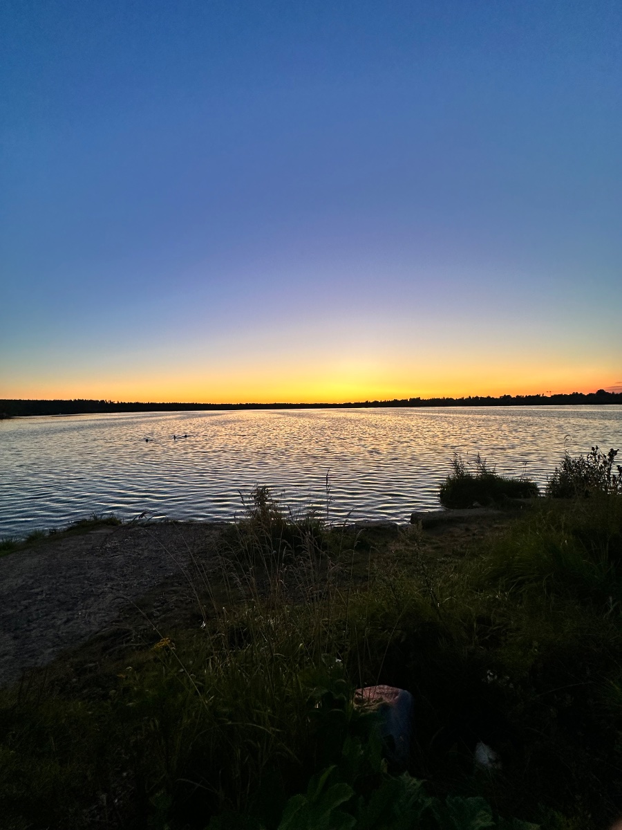 IMG_2296.jpeg
