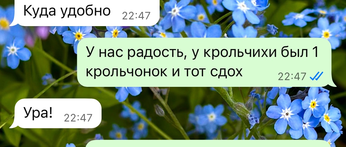 IMG_2309.jpeg
