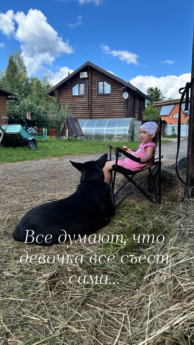 IMG_2375.jpeg