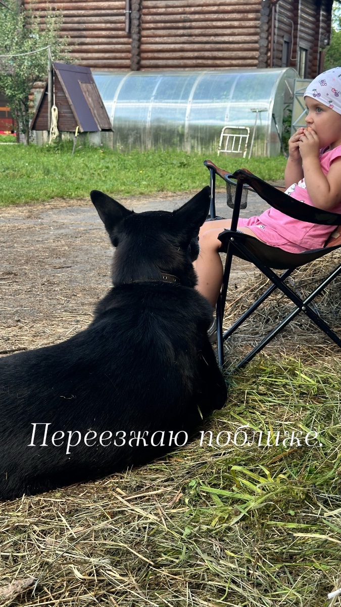 IMG_2376.jpeg