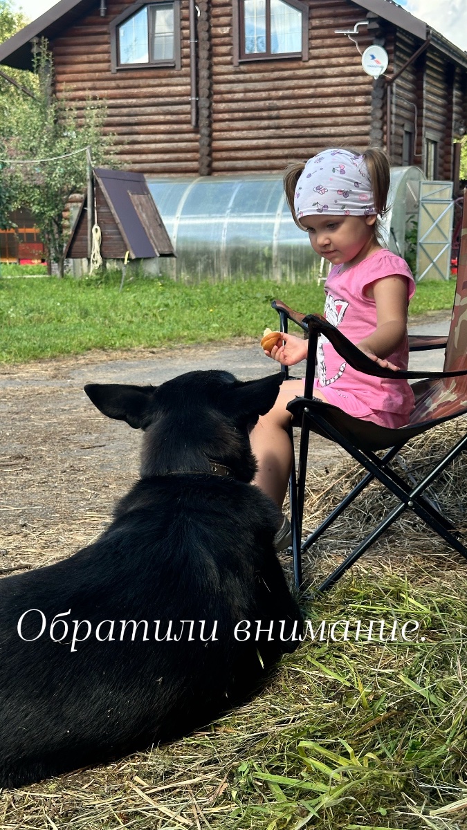 IMG_2377.jpeg