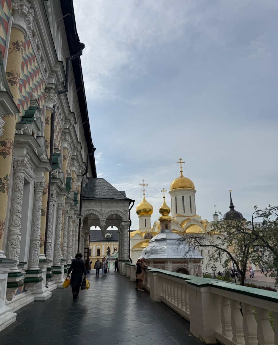 IMG_2379.jpeg