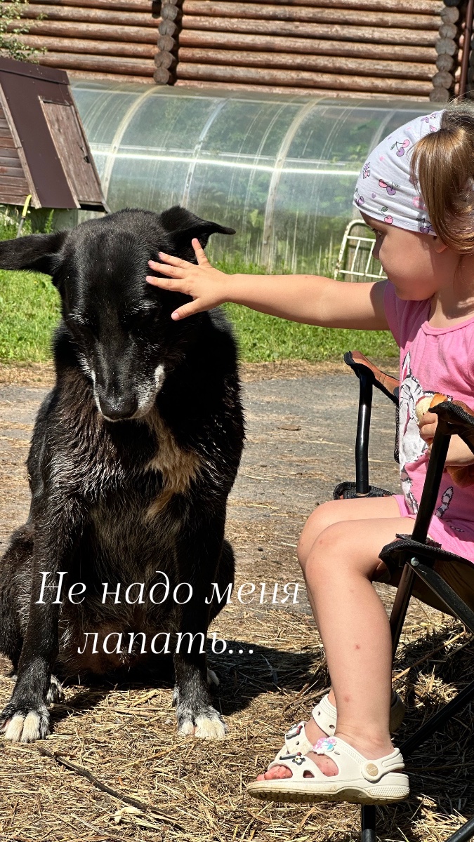 IMG_2380.jpeg