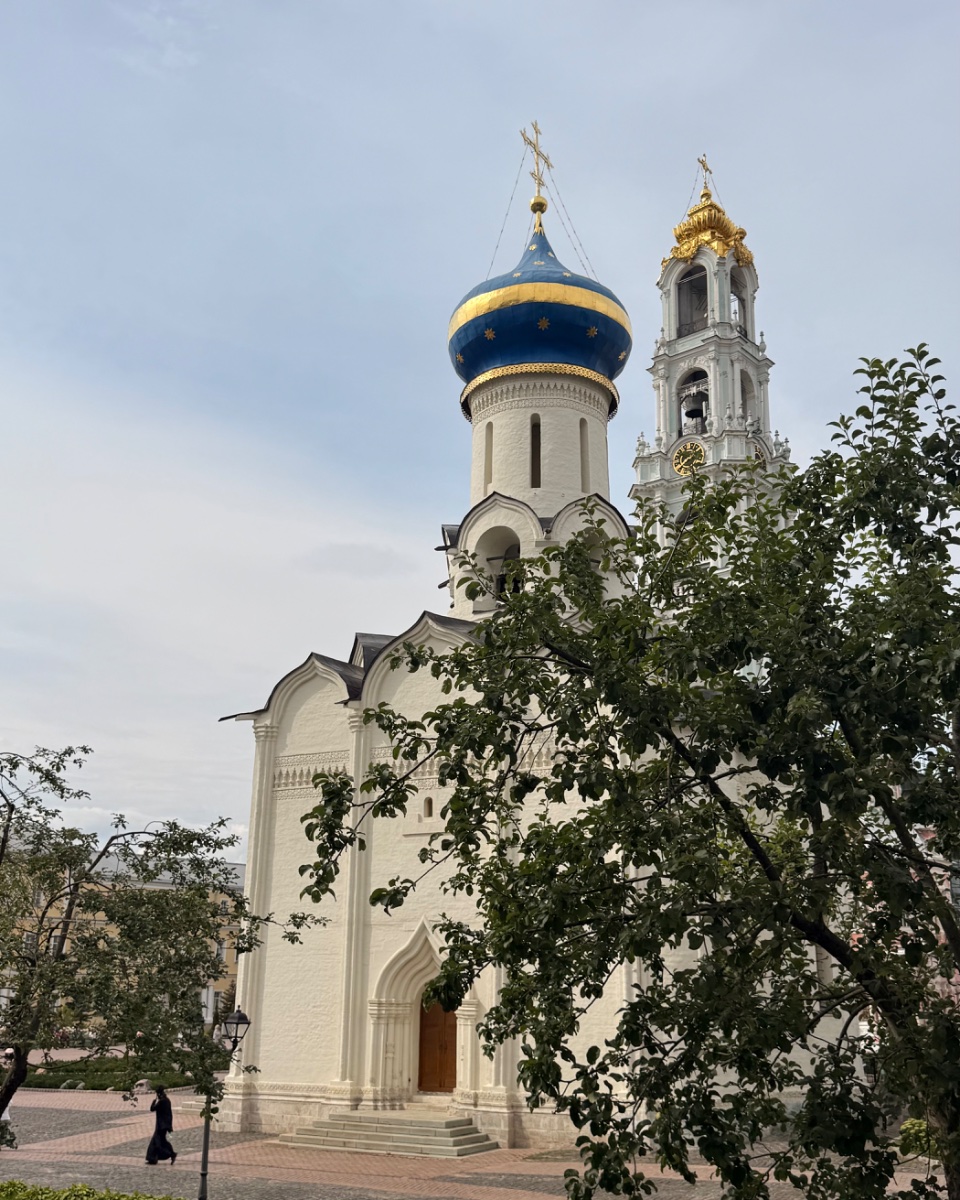 IMG_2381.jpeg