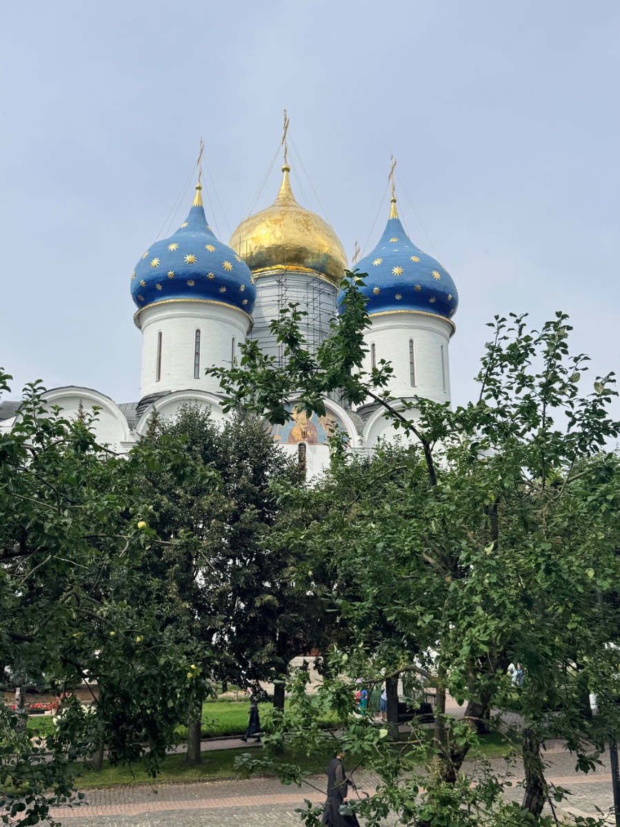 IMG_2382.jpeg