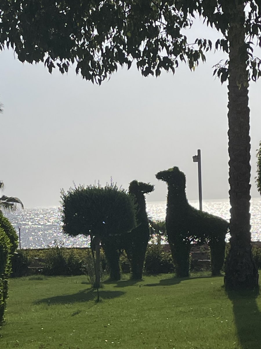 IMG_2407.jpeg