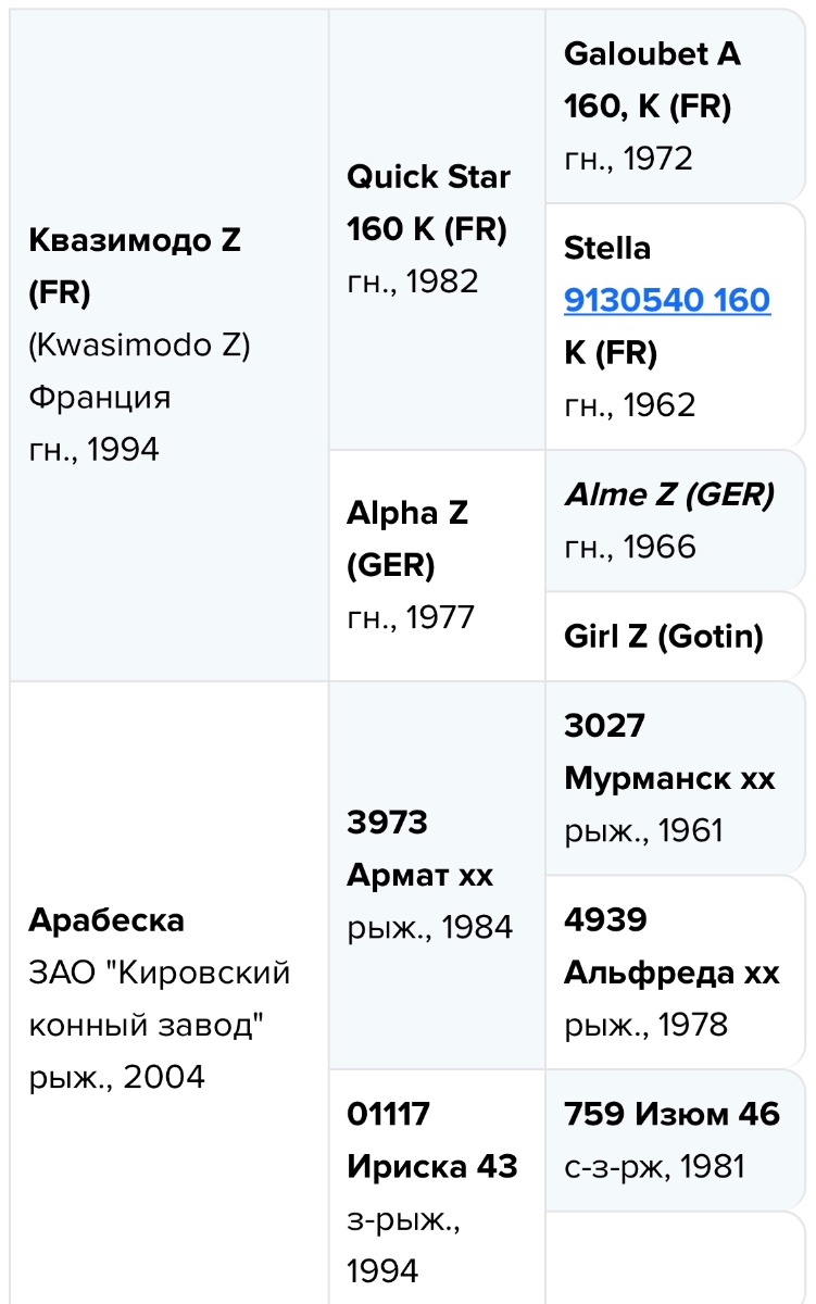 IMG_2491.jpeg