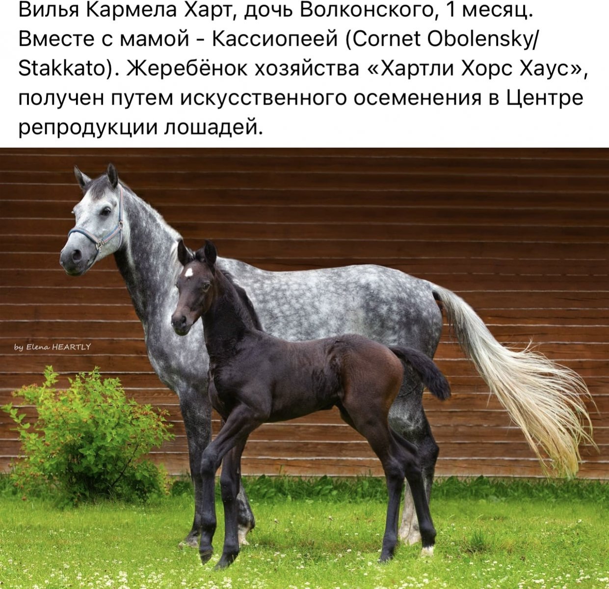 IMG_2538.jpeg