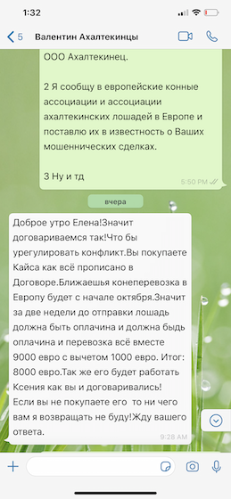 IMG_2553.PNG