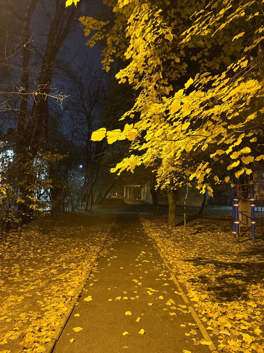 IMG_2572.jpeg IMG_2572.jpeg