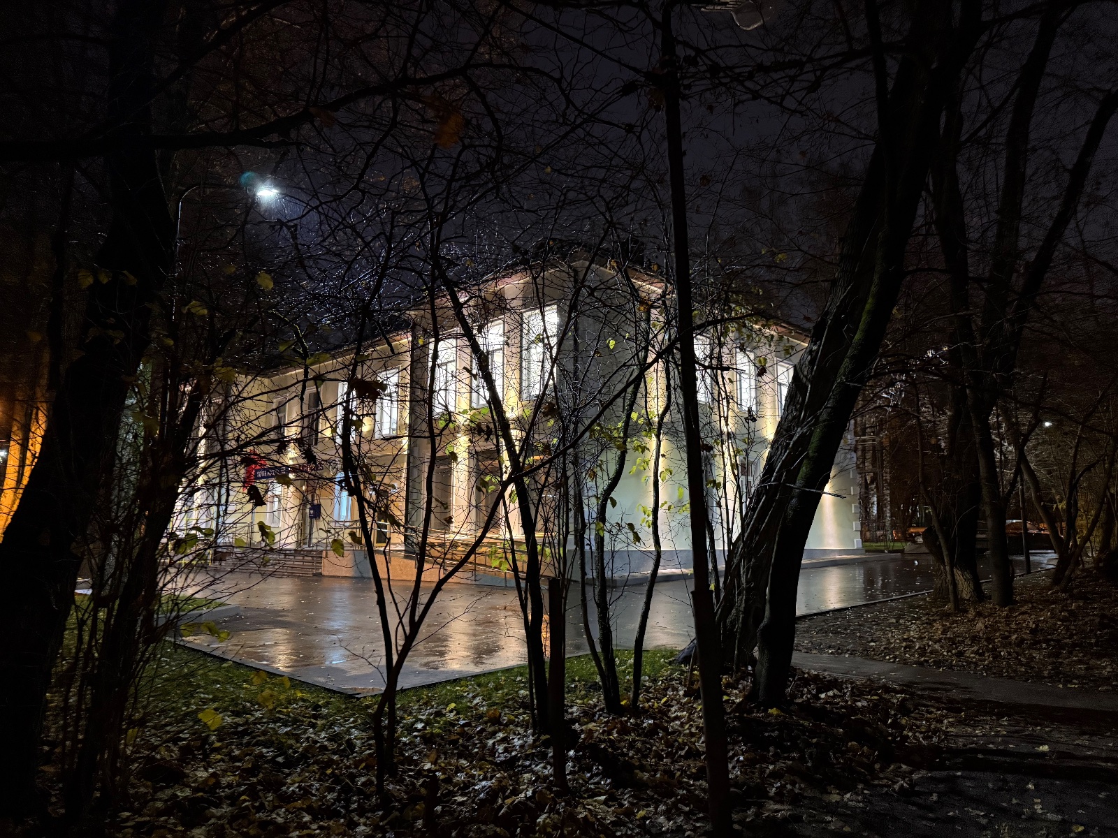 IMG_2575.jpeg IMG_2575.jpeg