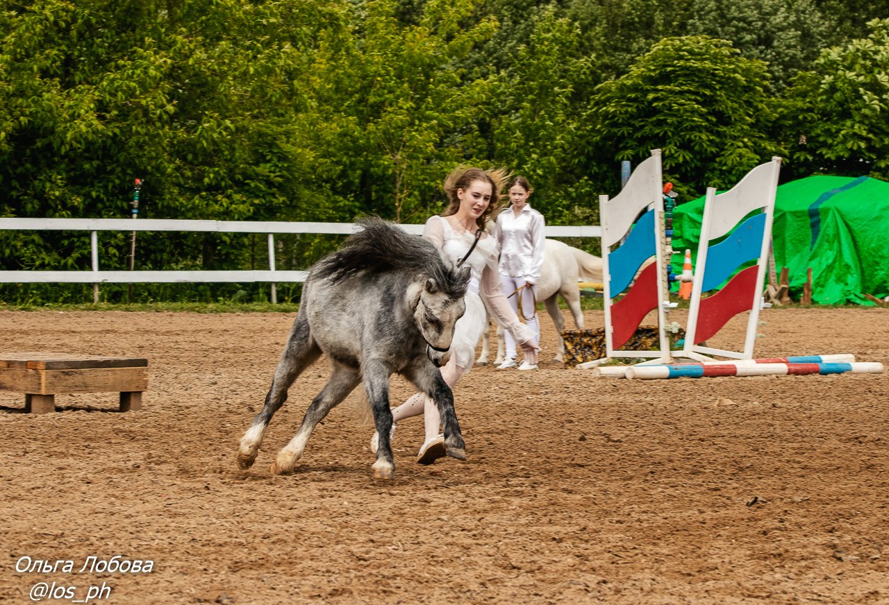 IMG_2686.jpg