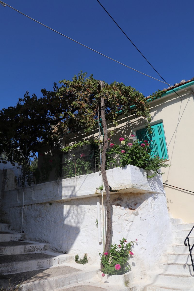 IMG_2711 - copie.JPG
