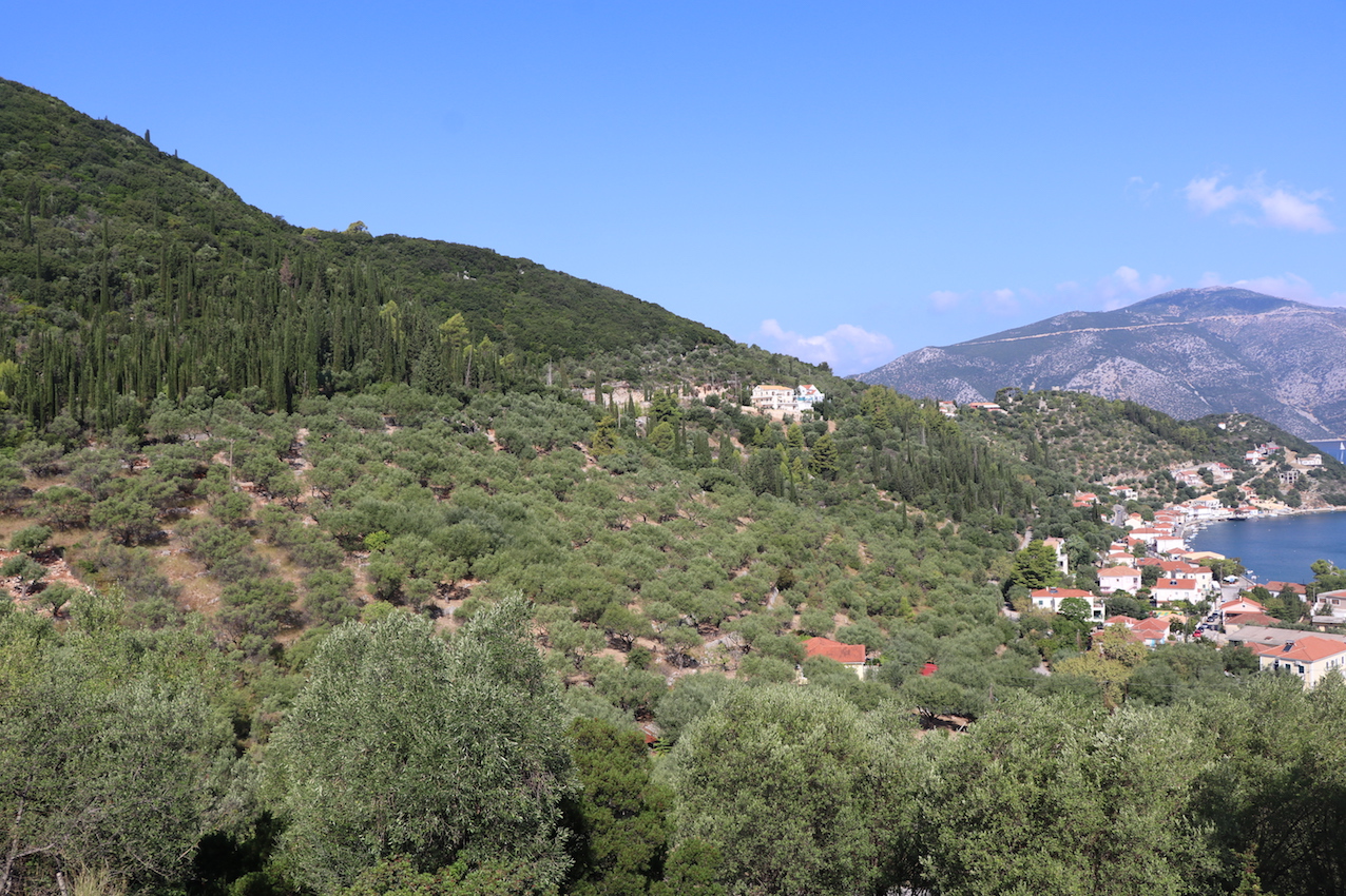 IMG_2718 - copie.JPG