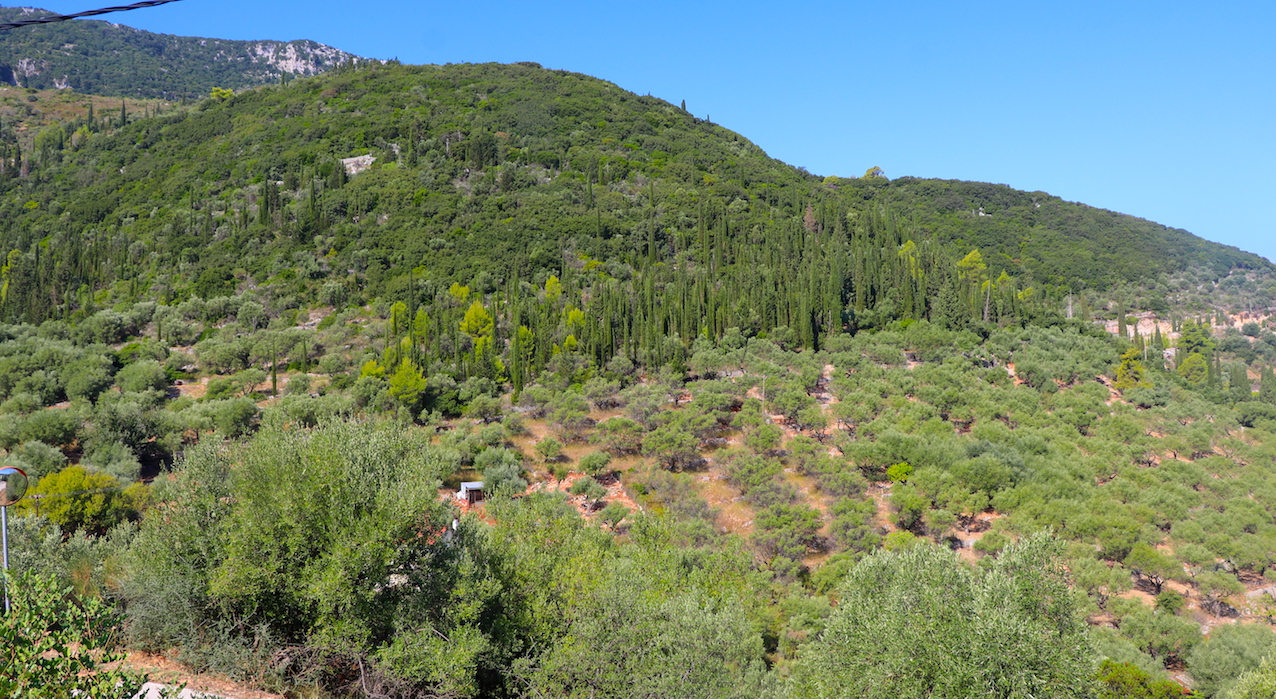 IMG_2719 - copie.JPG