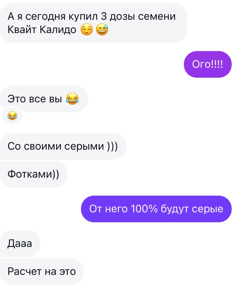 IMG_2734.jpeg