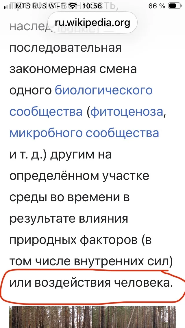 IMG_2850.webp