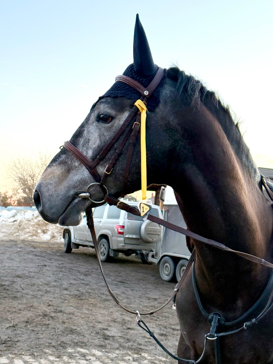 IMG_2859 2 копия.jpg