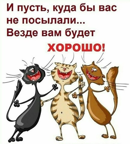 IMG_2998.JPG