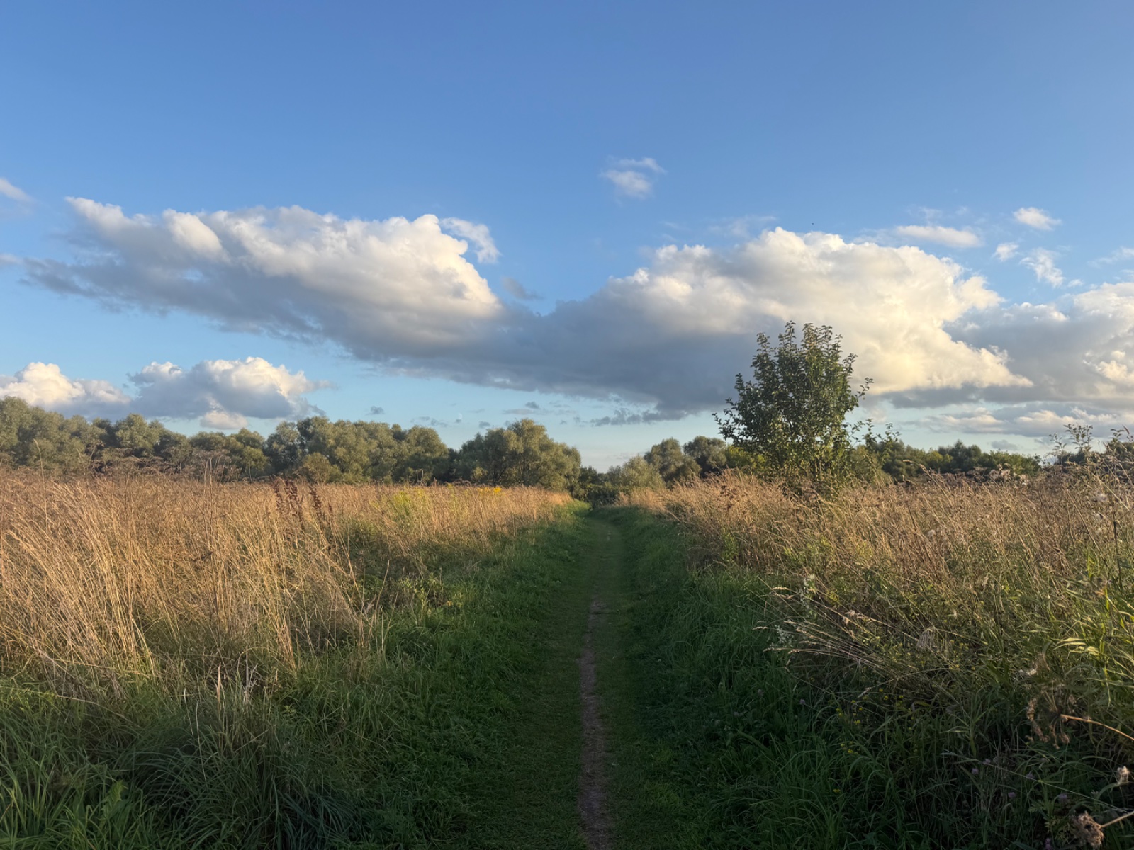 IMG_3058.jpeg