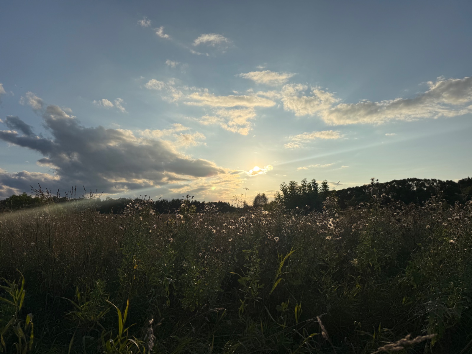 IMG_3059.jpeg