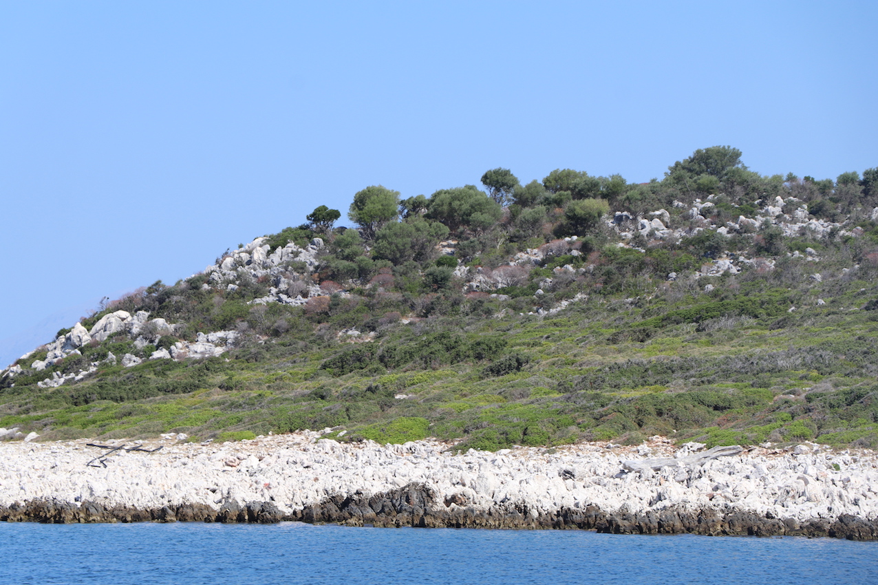 IMG_3070 - copie.jpg