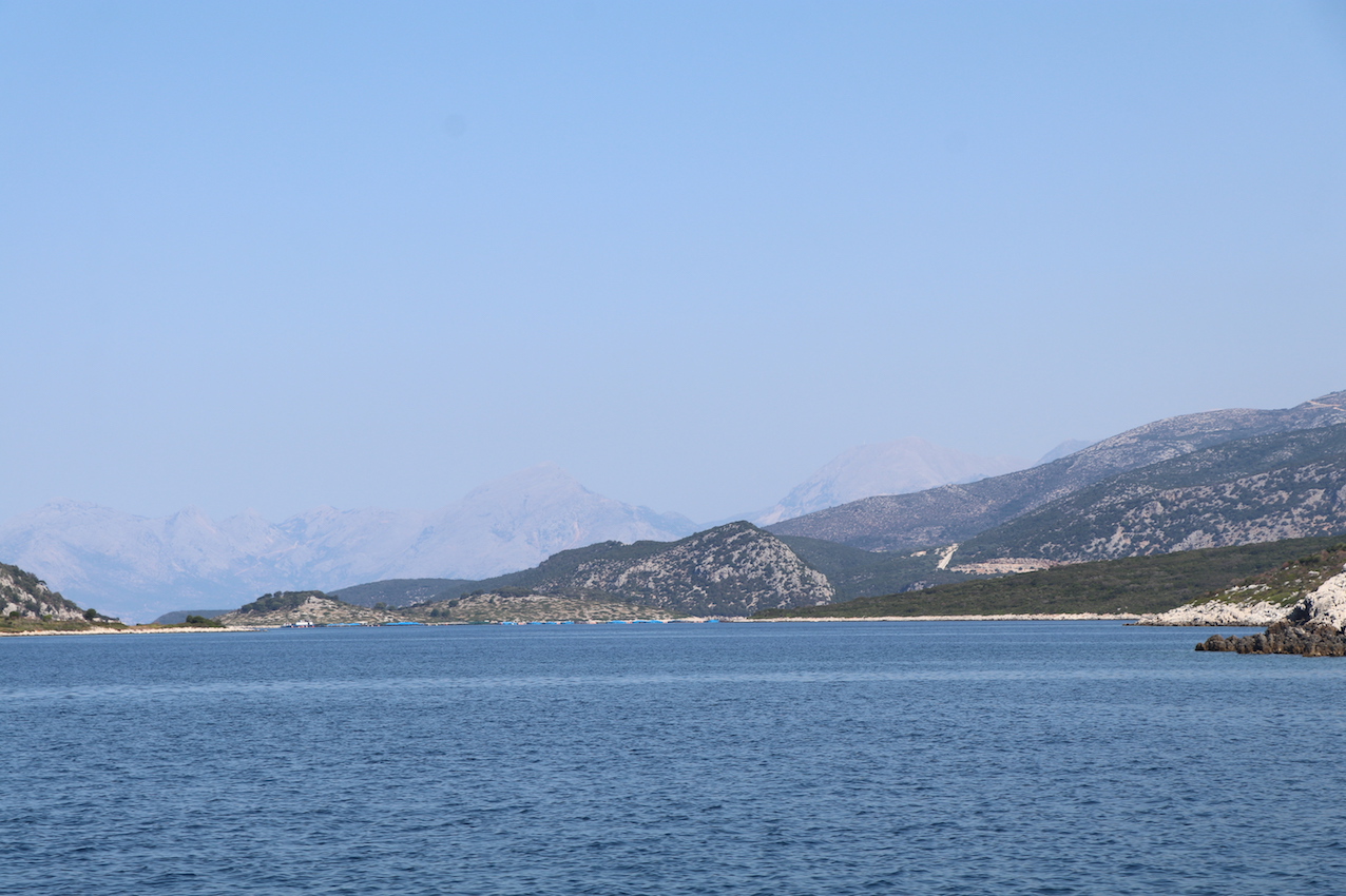 IMG_3074 - copie.JPG
