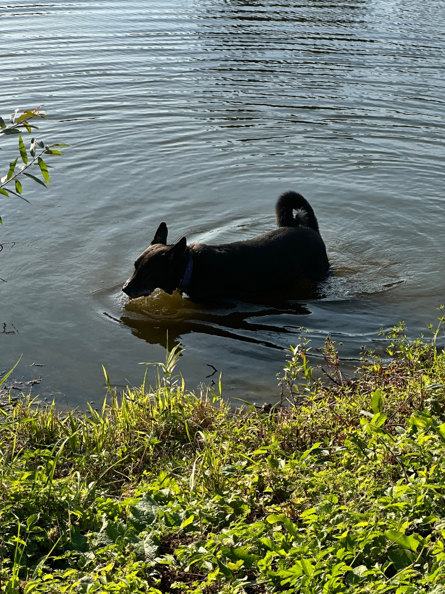 IMG_3112.jpeg