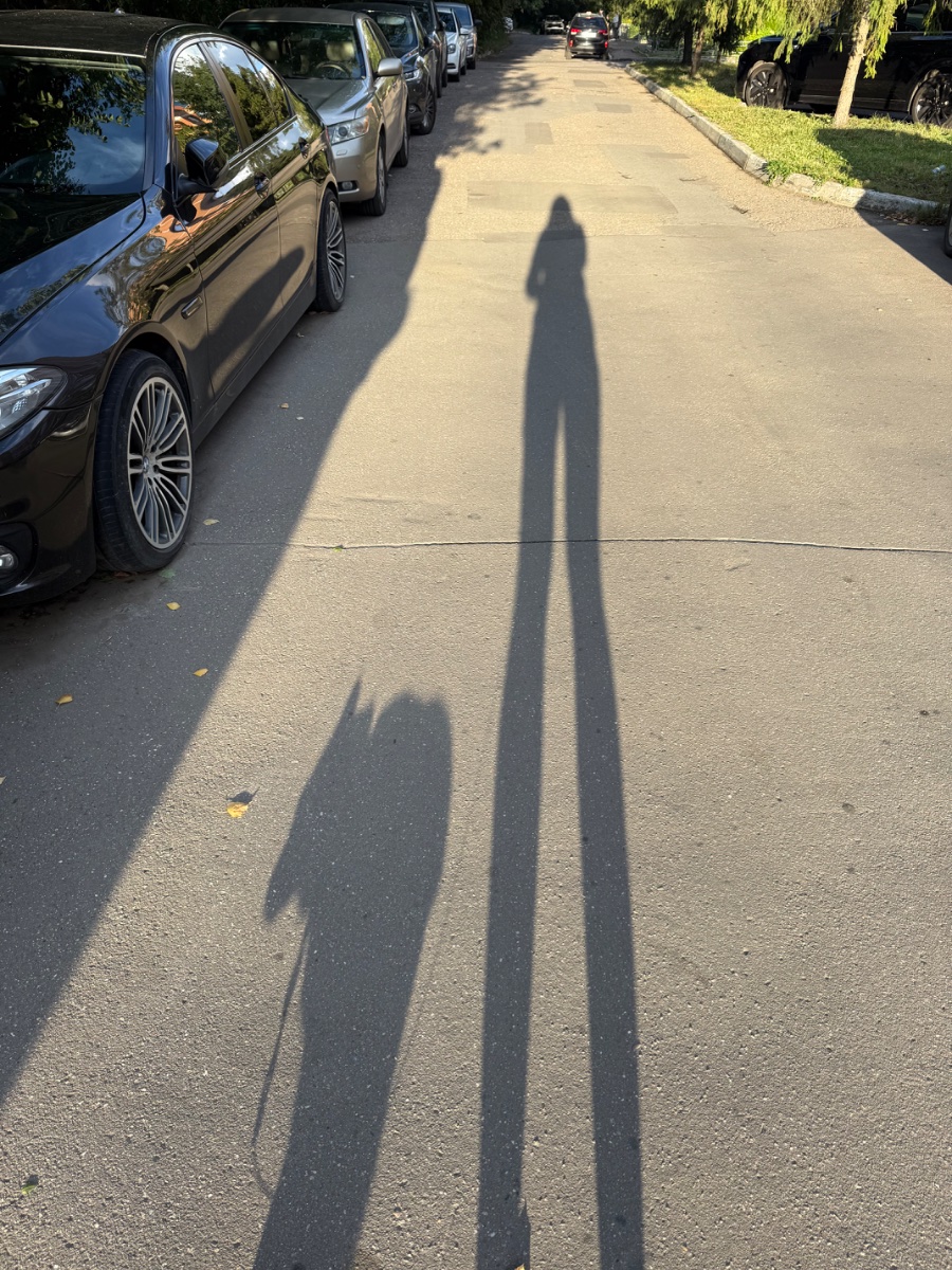 IMG_3184.jpeg