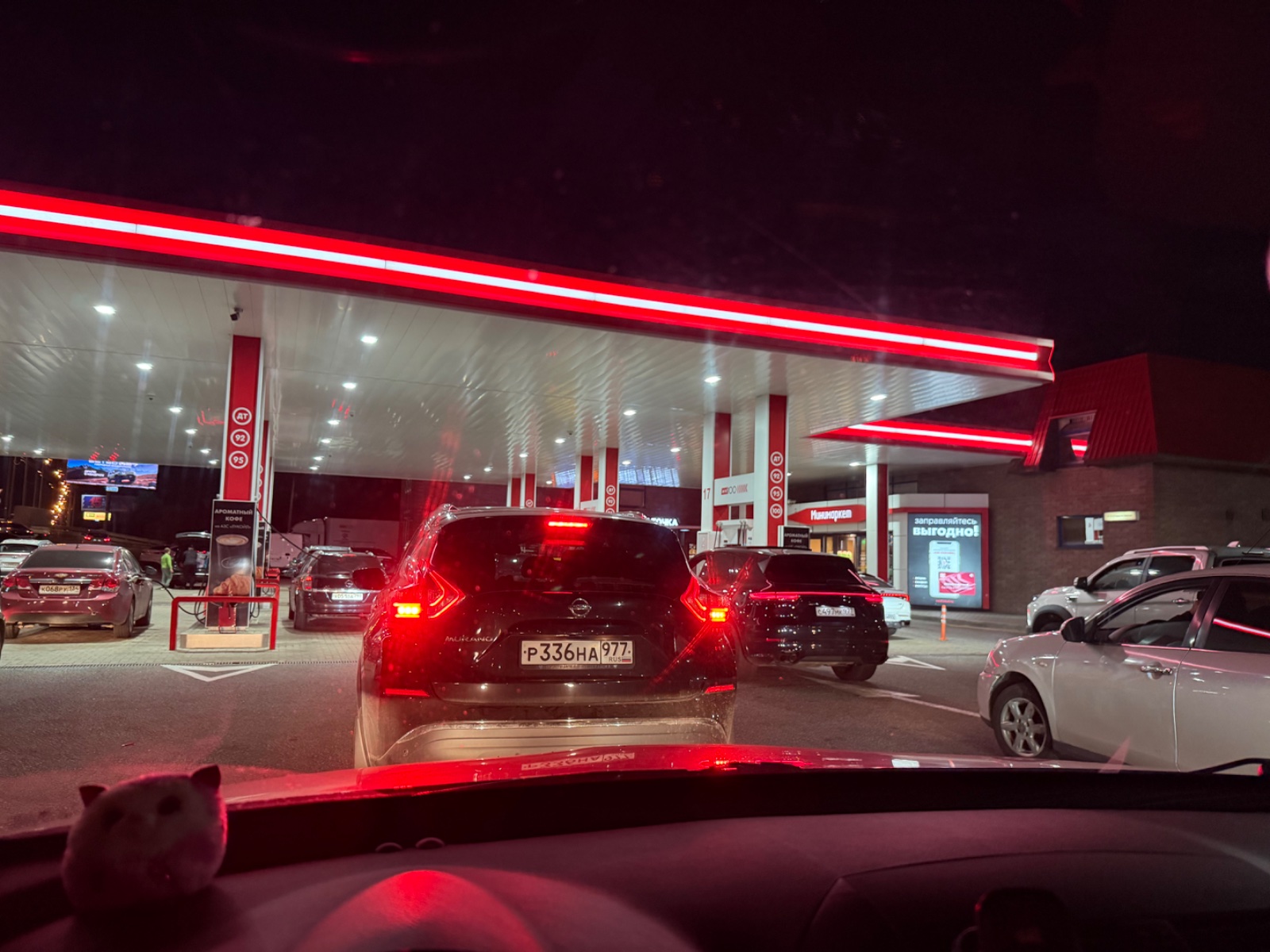 IMG_3195.jpeg