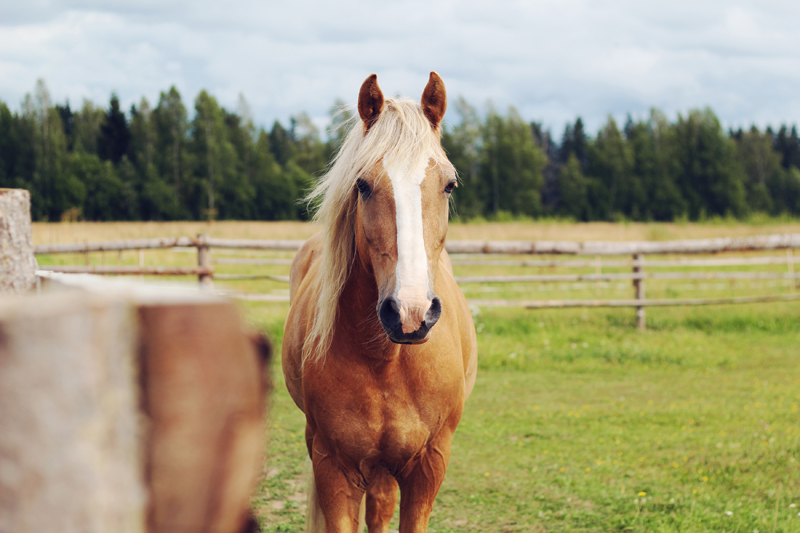 IMG_3237 - копия.jpg