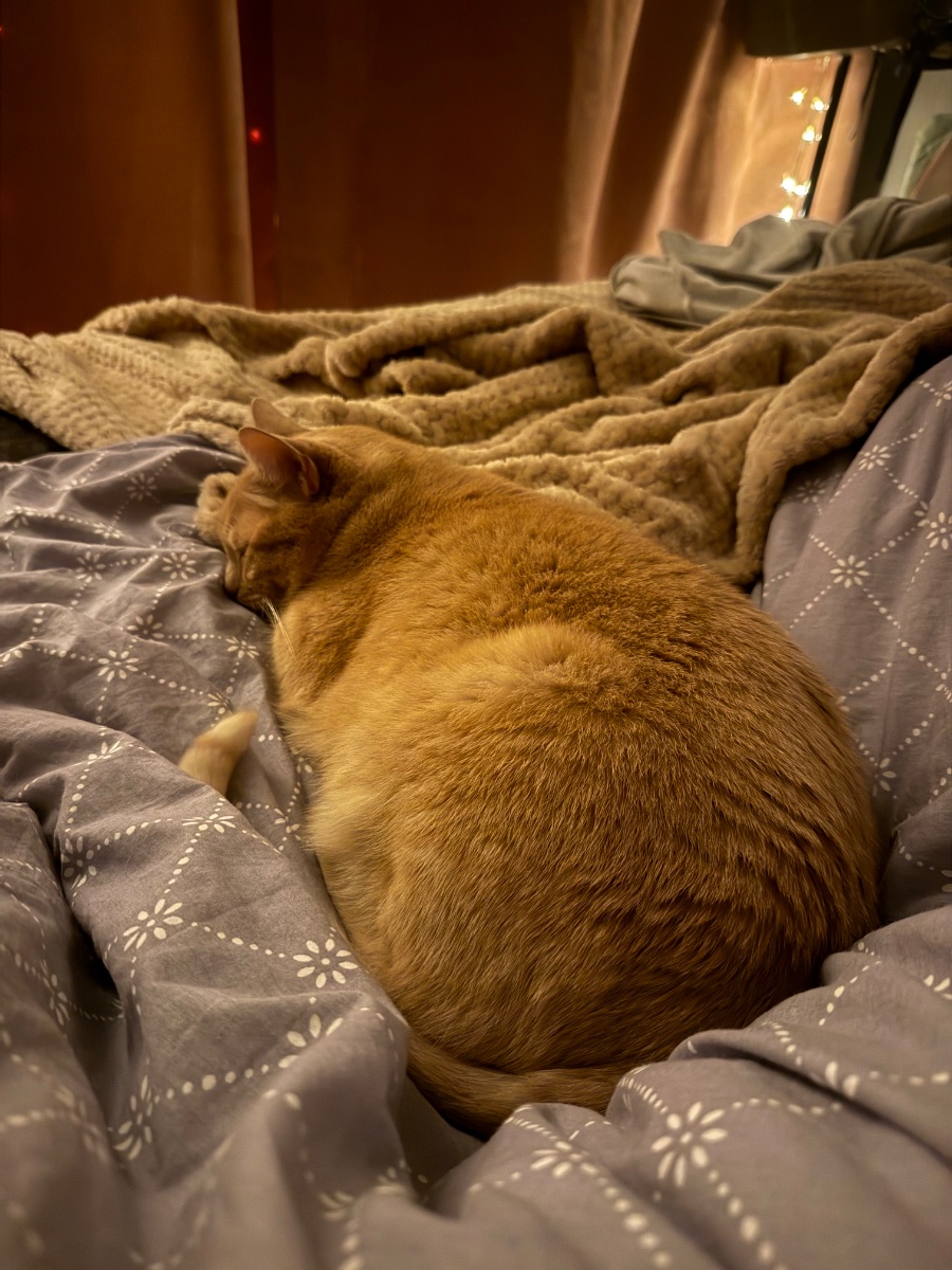 IMG_3301.jpeg