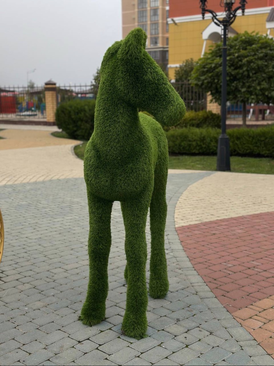 IMG_3315.jpeg