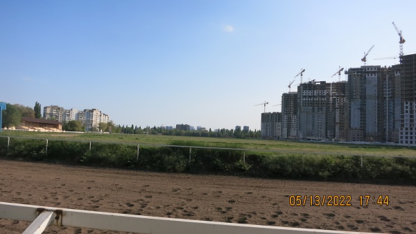 IMG_3321.JPG