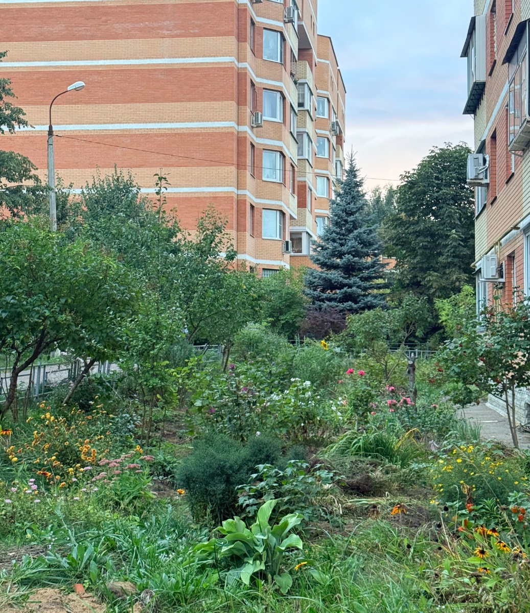 IMG_3348.jpeg