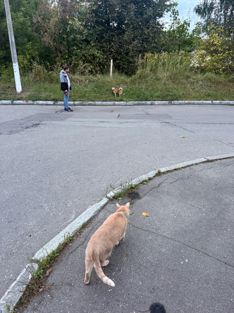 IMG_3352.jpeg